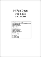 14 Fun Duets P.O.D. cover